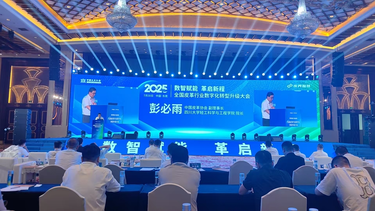输廉运动鞋业